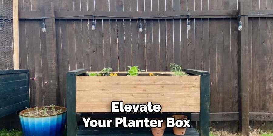 Elevate
Your Planter Box