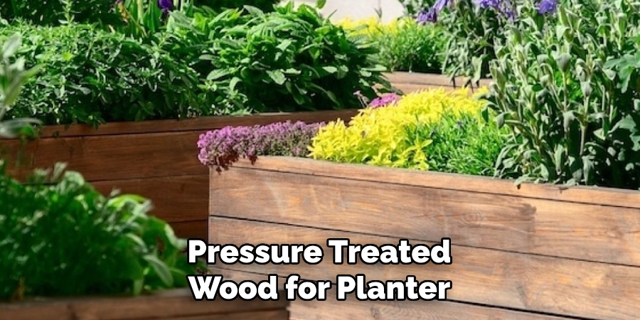 Pressure Treated
Wood for Planter  