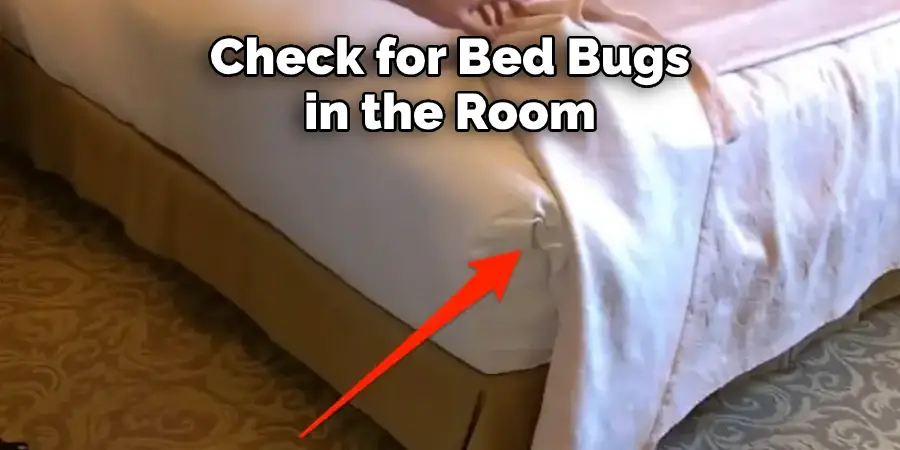 Check for Bed Bugs in the Room 