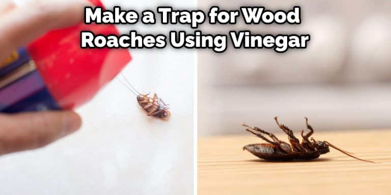 How To Keep Wood Roaches Out Of The House