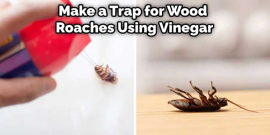 Make a Trap for Wood Roaches Using Vinegar