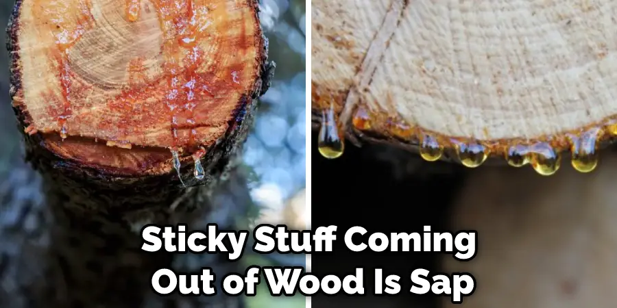Sticky Stuff Coming Out of Wood Is Sap