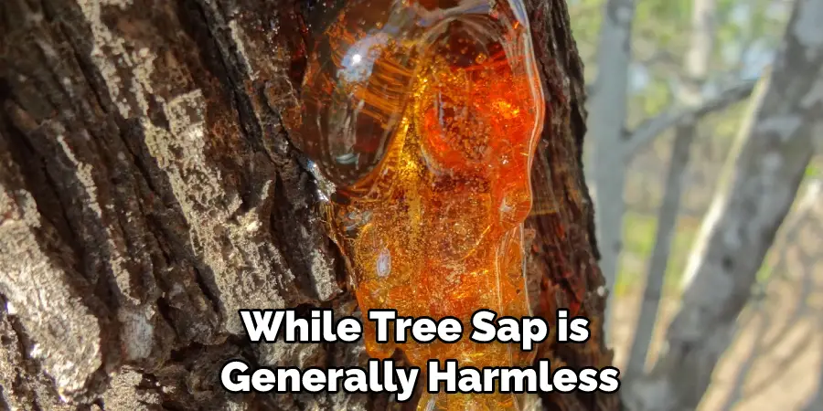 While Tree Sap is Generally Harmless