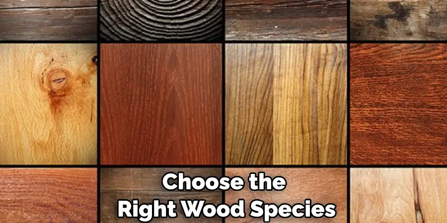 Choose the Right Wood Species