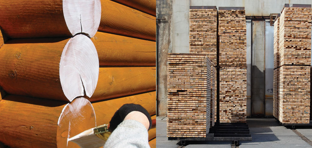 How to Seal Logs for Drying Described in 7 Effective Steps