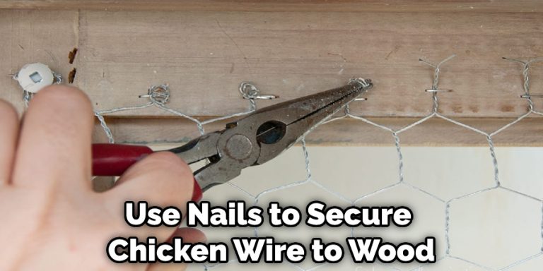 How to Secure Chicken Wire to Wood | 14 Easy Ways (2024)