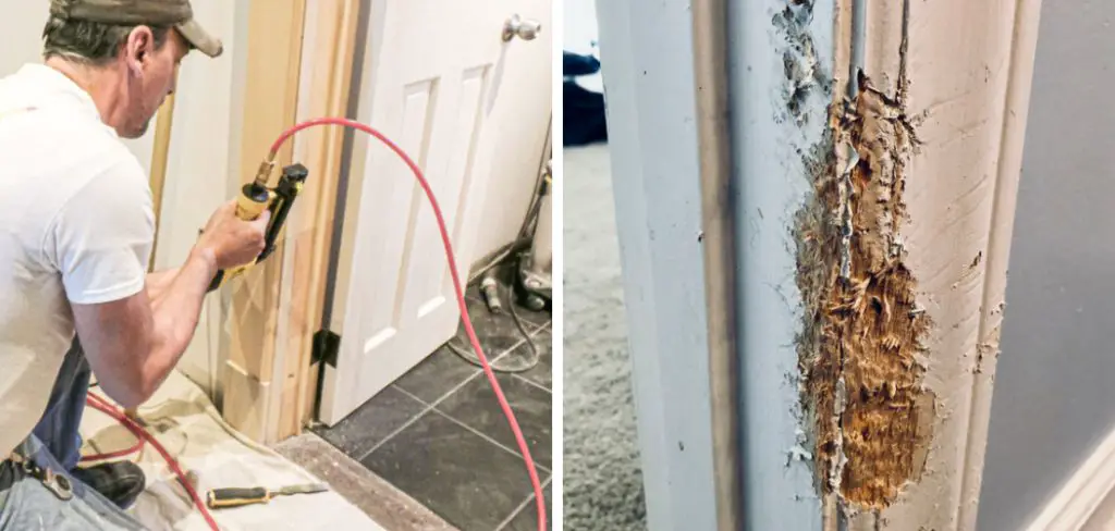How to Repair Wood Door Frame Dog Chewed