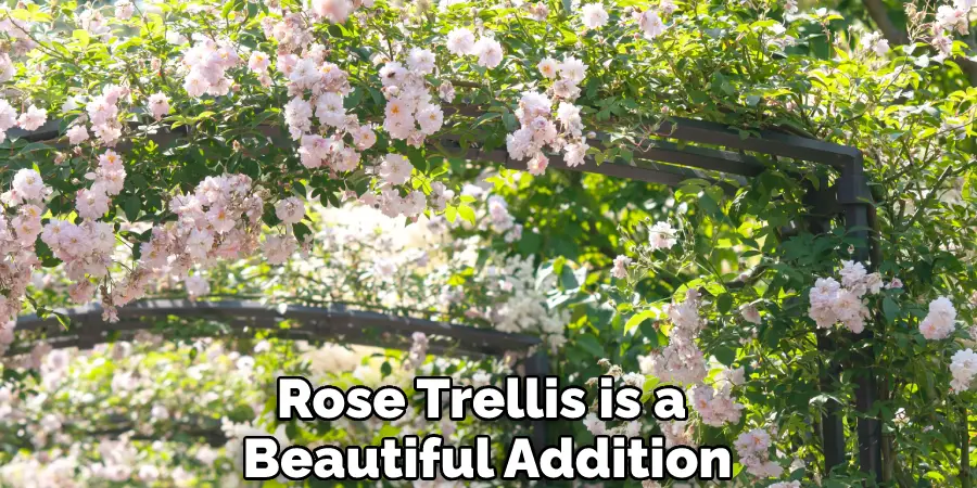 Rose Trellis is a Beautiful Addition