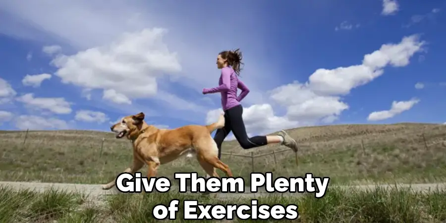 Give Them Plenty of Exercises