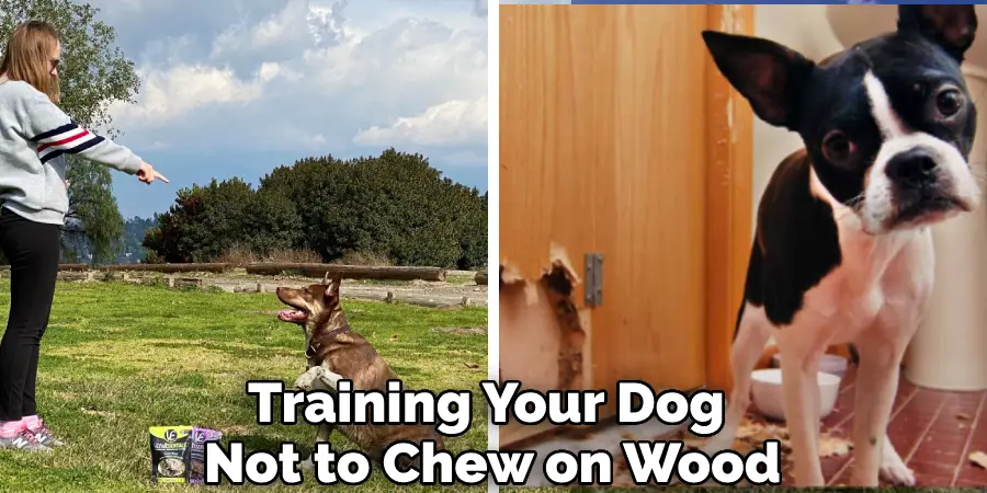 Training Your Dog Not to Chew on Wood