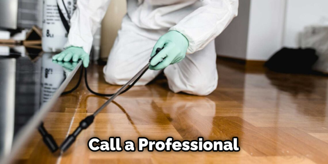 How to Get Rid of Bed Bugs in Hardwood Floors 11 Methods