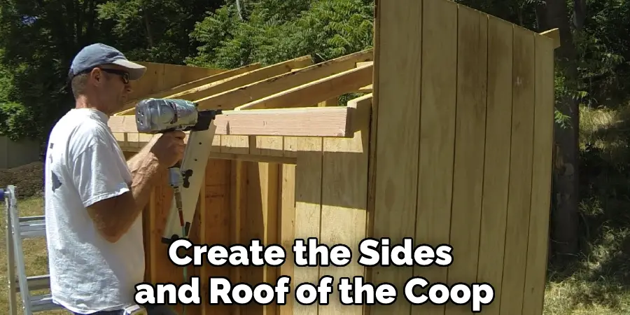 Create the Sides and Roof of the Coop