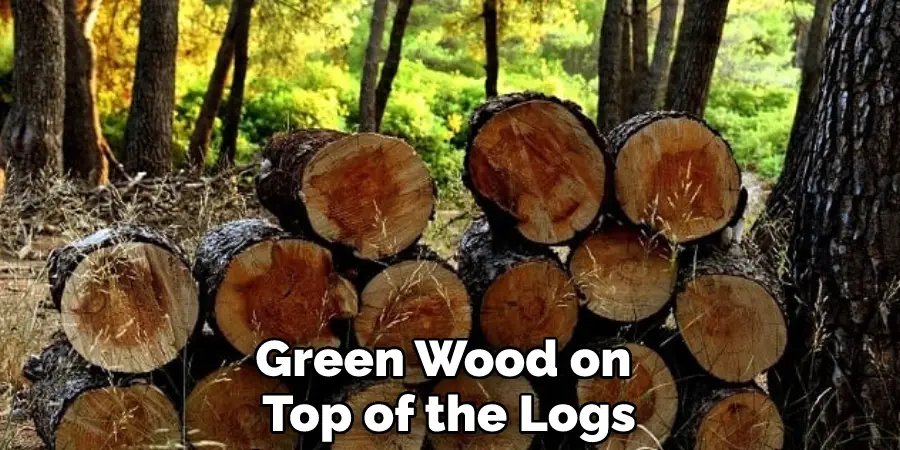 Green Wood on Top of the Logs