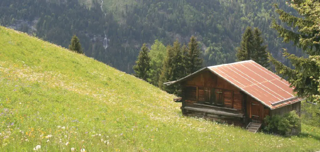How to Build a Shed Into a Hillside