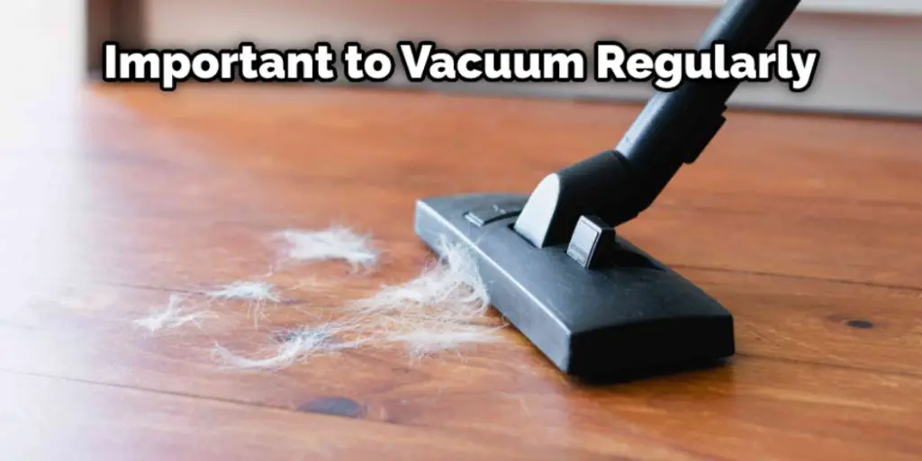 Important to Vacuum Regularly