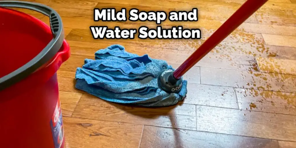 Mild Soap and Water Solution