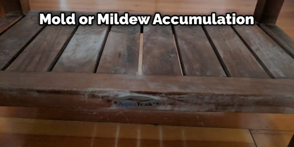 Mold or Mildew Accumulation