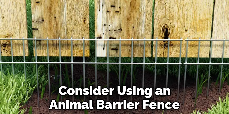 Consider Using an Animal Barrier Fence