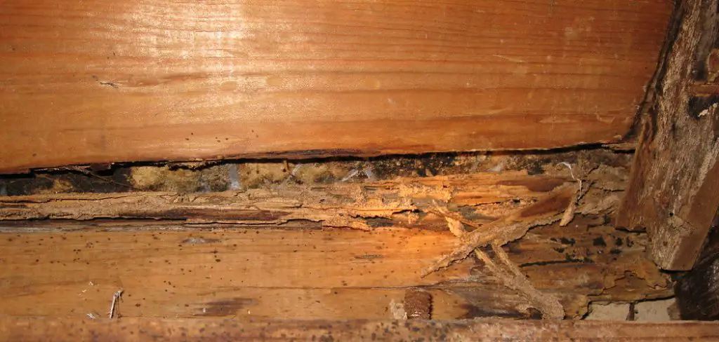 How to Repair Termite Damaged Wood