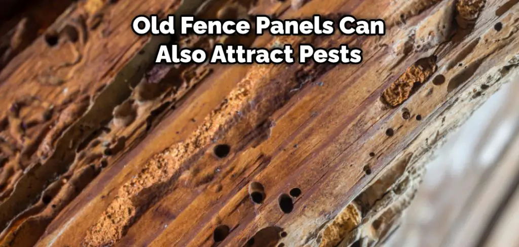 Old Fence Panels Can Also Attract Pests