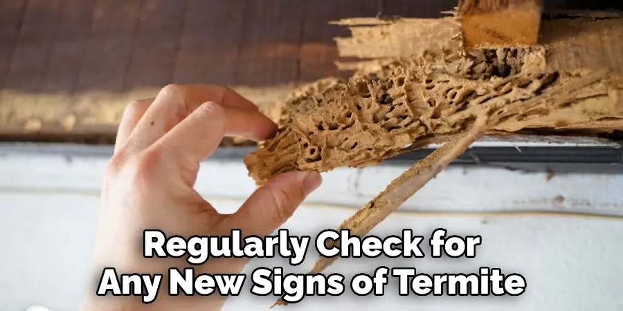 Regularly Check for Any New Signs of Termite