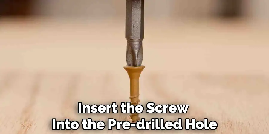Insert the Screw Into the Pre-drilled Hole