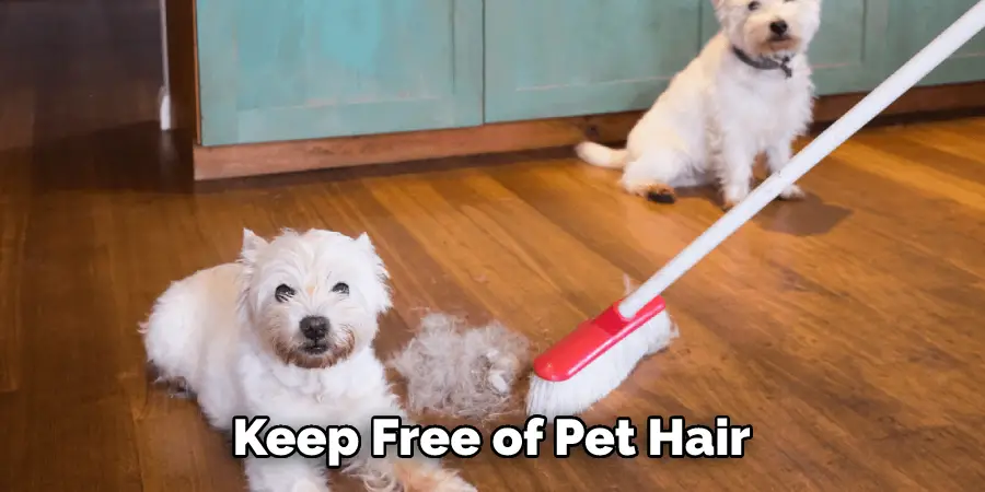 Keep Free of Pet Hair