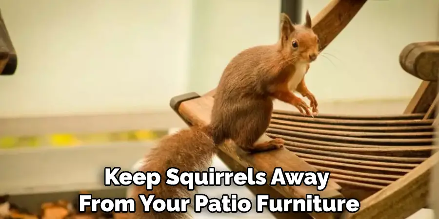 Keep Squirrels Away From Your Patio Furniture