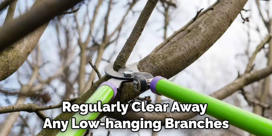Regularly Clear Away Any Low-hanging Branches