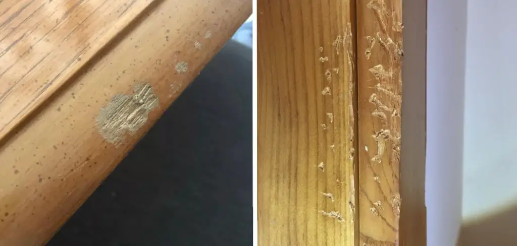 How to Fix Chew Marks on Wood