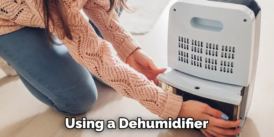 Using a Dehumidifier
