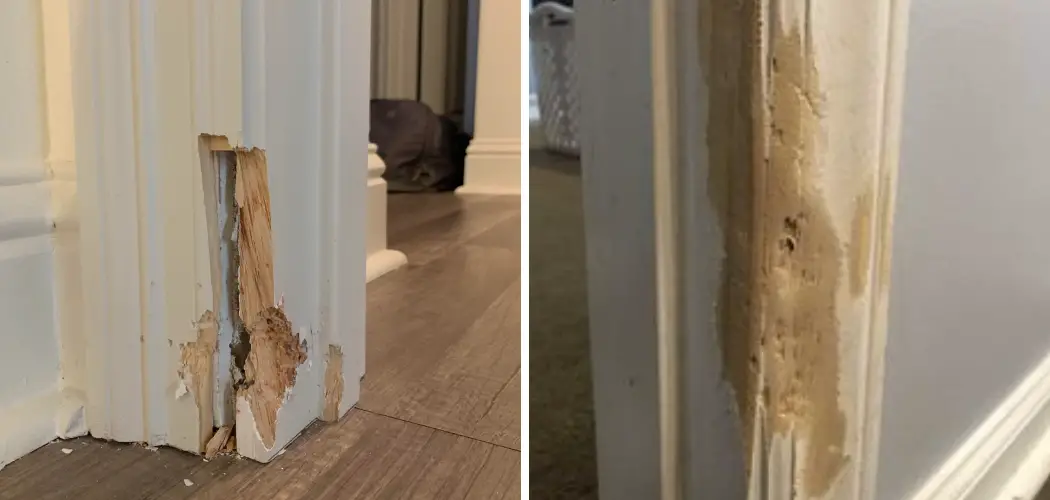 How to Fix Door Frame Damage From Dog