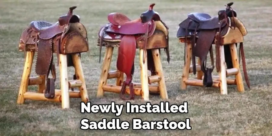 Newly Installed Saddle Barstool