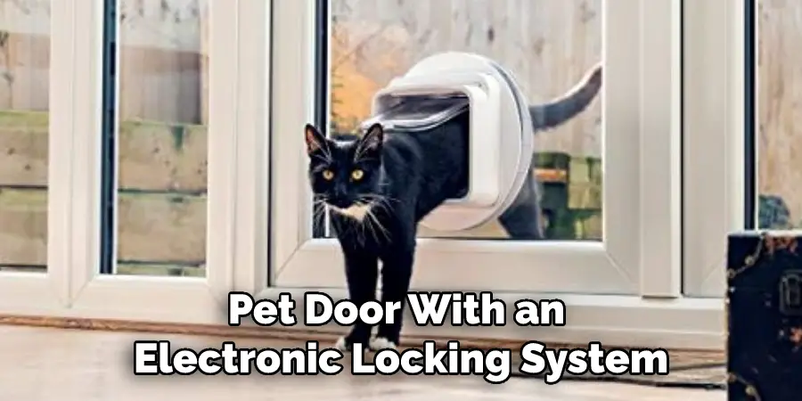 Pet Door With an Electronic Locking System