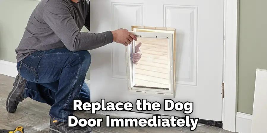 Replace the Dog Door Immediately