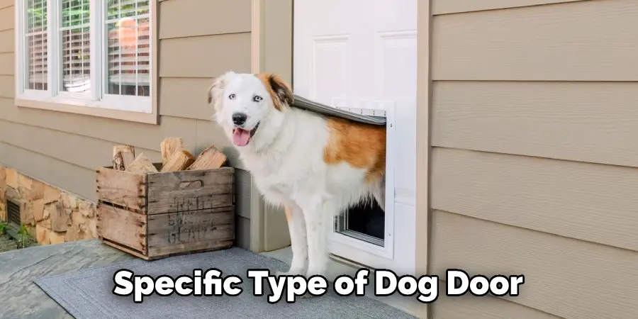 Specific Type of Dog Door