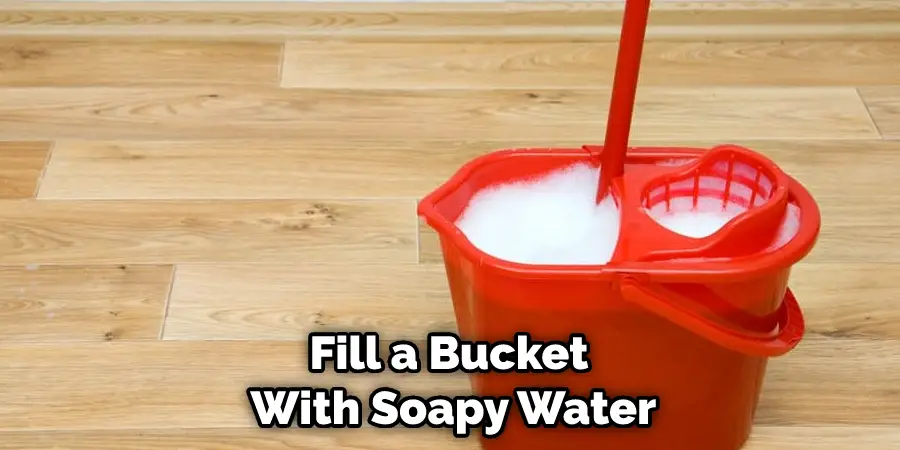 Fill a Bucket With Soapy Water
