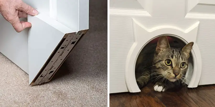How to Make a Homemade Cat Door