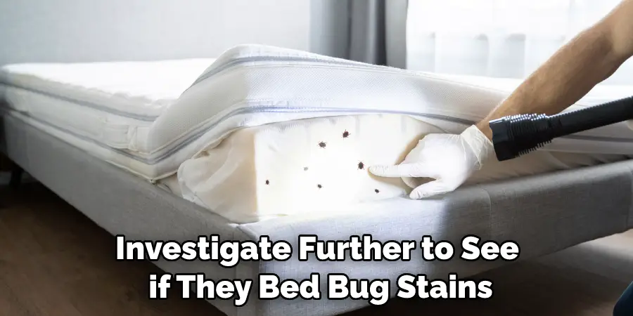 Investigate Further to See if They Bed Bug Stains