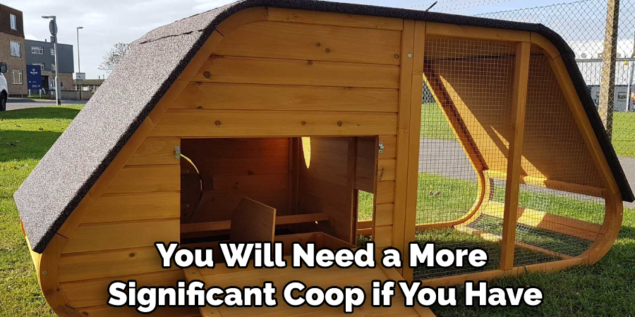 You Will Need a More Significant Coop if You Have