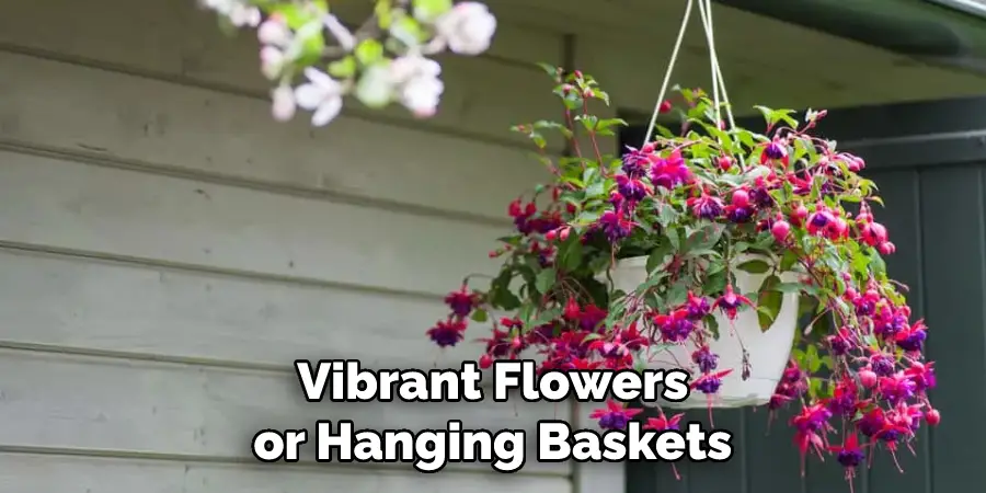 vibrant flowers or hanging baskets 