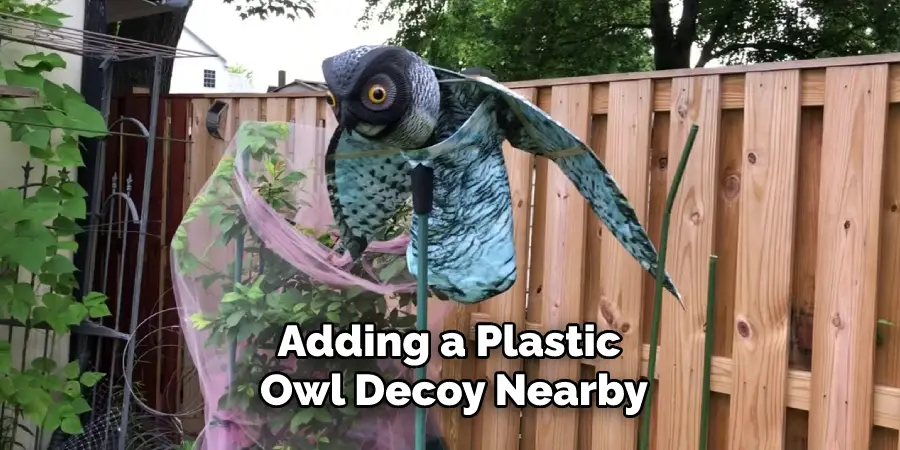 Adding a Plastic Owl Decoy Nearby