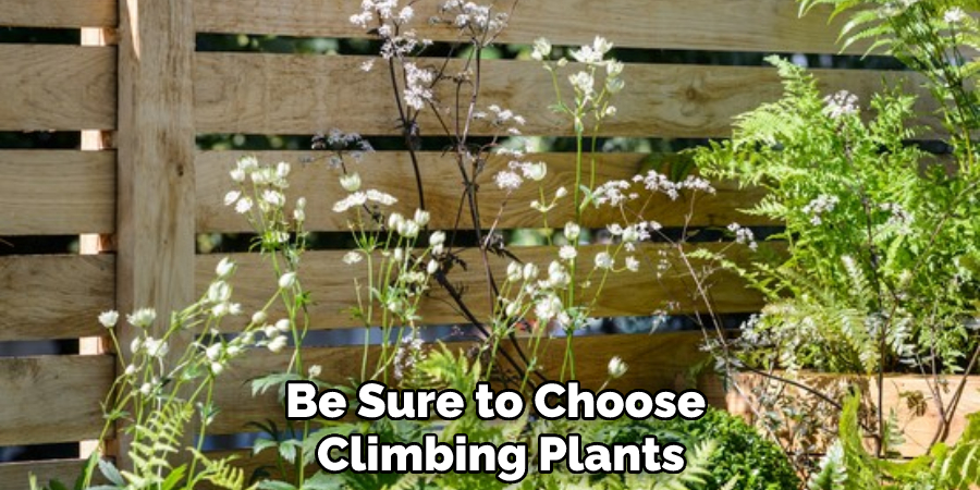 Be Sure to Choose Climbing Plants