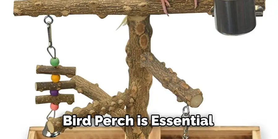 Bird Perch is Essential