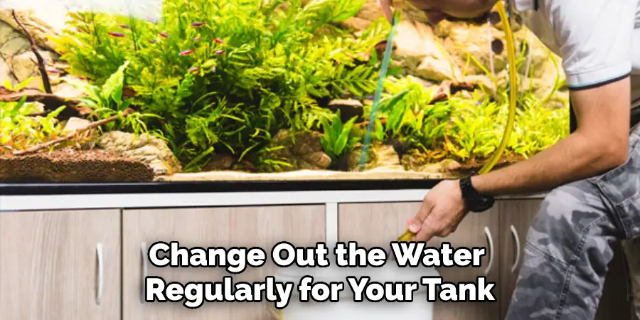Change Out the Water Regularly for Your Tank
