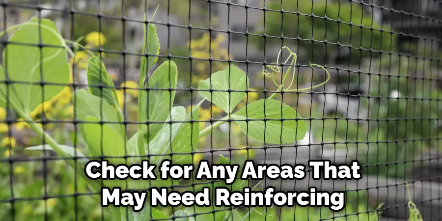  Check for Any Areas That May Need Reinforcing