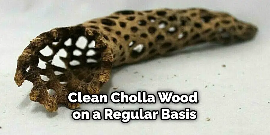 Clean Cholla Wood on a Regular Basis