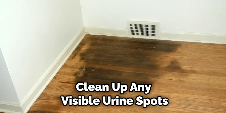 Clean Up Any Visible Urine Spots
