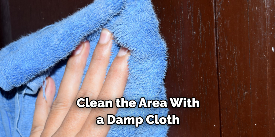 Clean the Area With a Damp Cloth