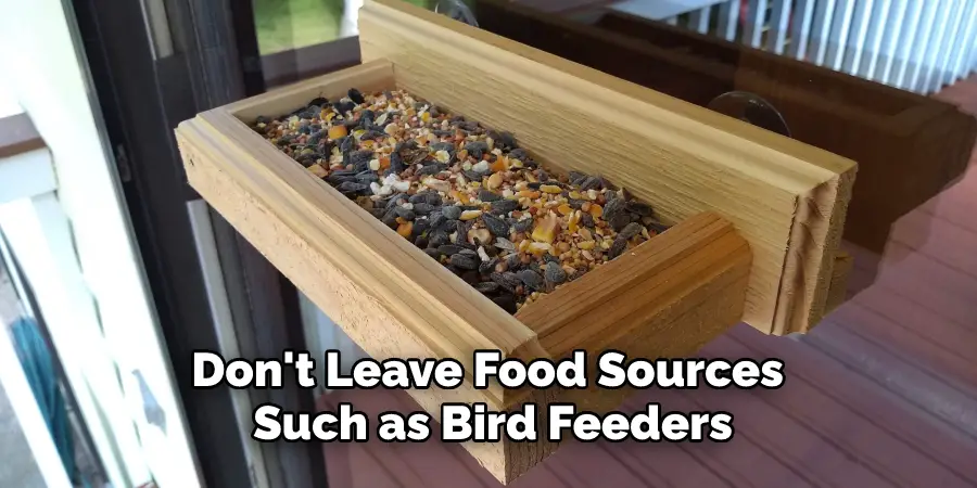 Don't Leave Food Sources Such as Bird Feeders